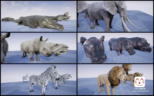AAA级非洲野生动物3d模型合集