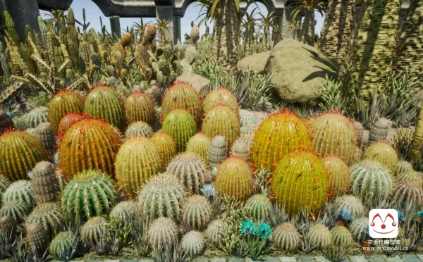 沙漠中的仙人掌花园各种仙人掌植物模型合集