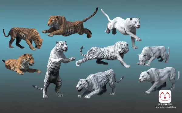 AAA级亚洲老虎动物模型带绑定动画