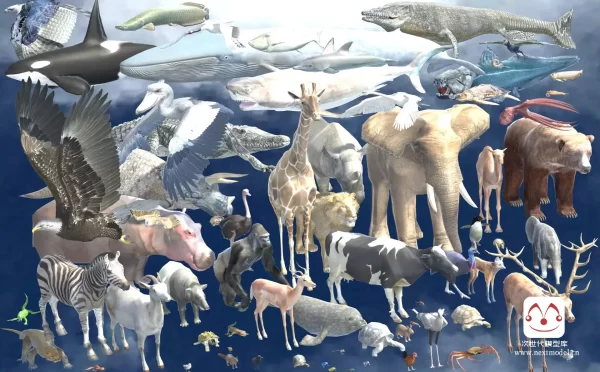 119个高品质野生动物无脊椎动物+动画模型合集