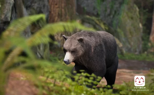 AAA级品质的雄性棕熊野生动物游戏3d模型