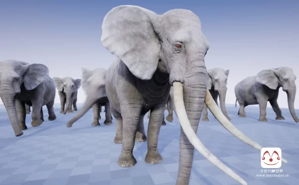 高品质的非洲大象3d模型