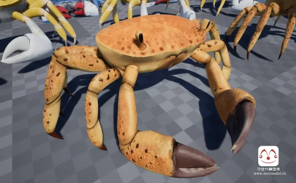 高品质海洋生物螃蟹3d模型
