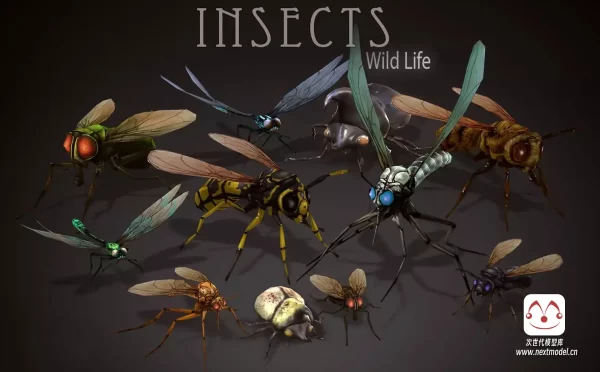 AAA级品质的野生动物昆虫蜜蜂蜻蜓模型合集