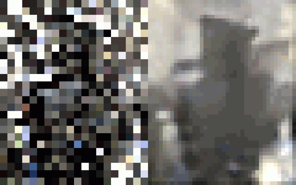 Arnold与MotionBuilder新版本带来增强去噪功能与USD插件 次世代模型库