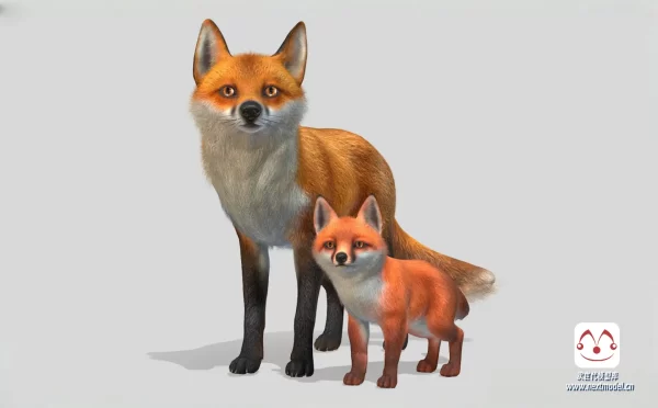 狐狸家族模型（一大一小）