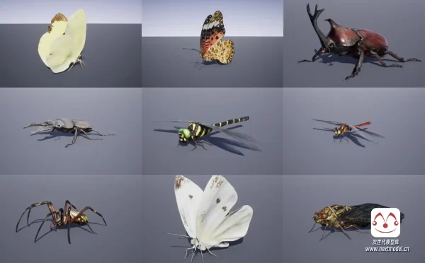 日本昆虫包3D模型带动画