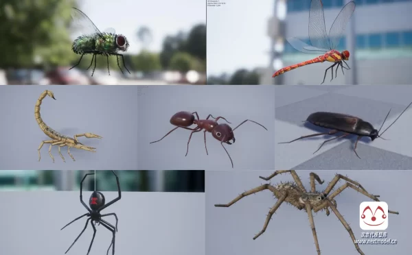 高品质昆虫模型带动画合集