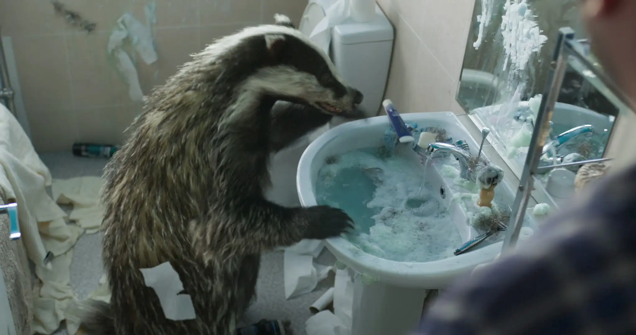 超写实獾3d模型