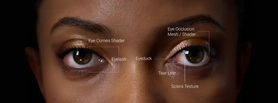 Character Creator 5：新增 HD 角色基础模型