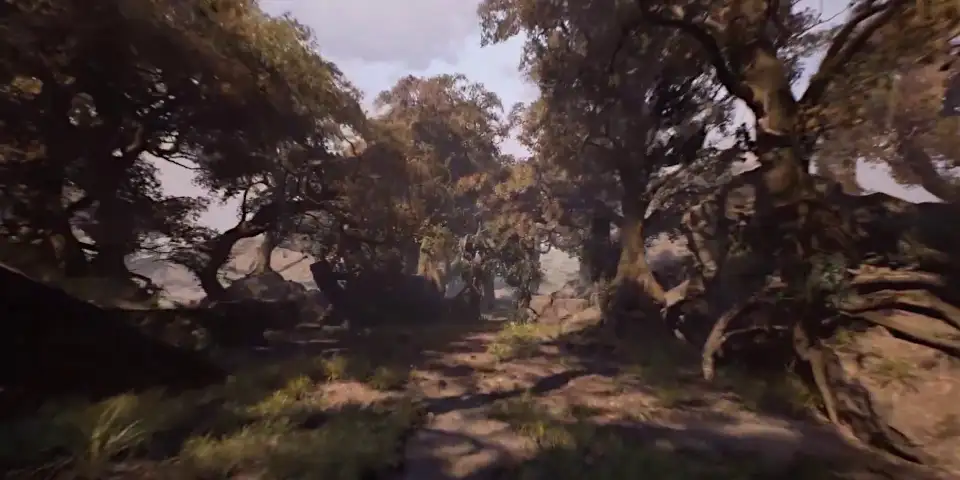 《Project Elderwood》Houdini 插件