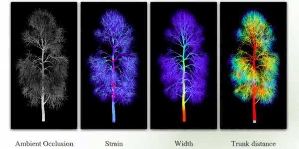 Natsura 早期体验：Houdini新利器，用“植物DNA”生成动态树木