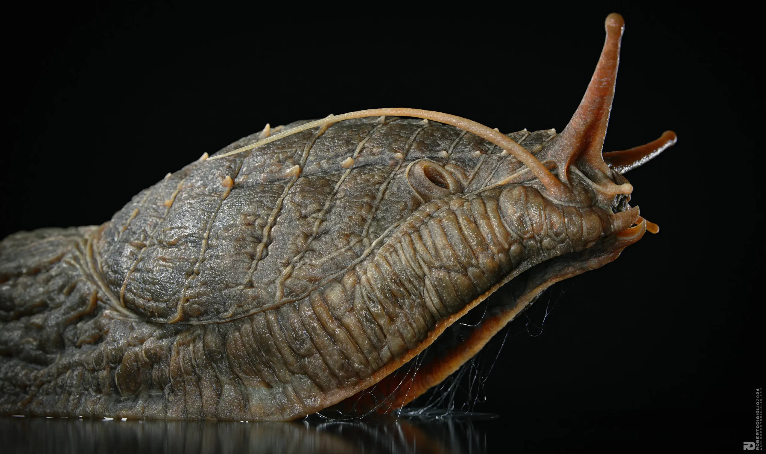 从《侏罗纪公园》到CGI大师：Roberto Digiglio谈游戏与CGI中的生物和角色设计-次世代模型库