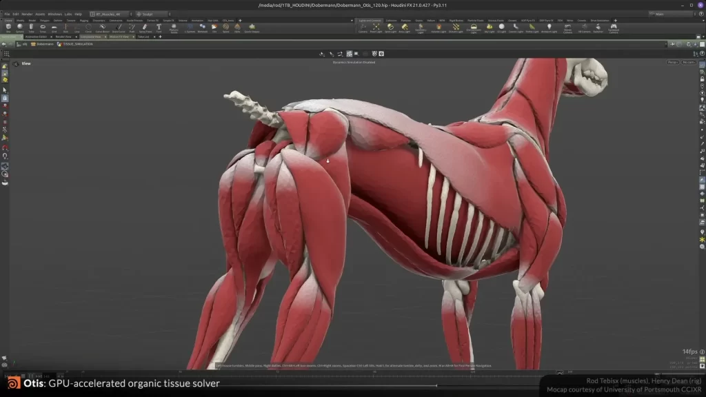 300+更新！Houdini 21 KineFX动画、CFX模拟与AI建模全面升级-次世代模型库