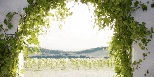 Forest Pack 9.3发布：支持藤蔓风动动画+贴图密度控制