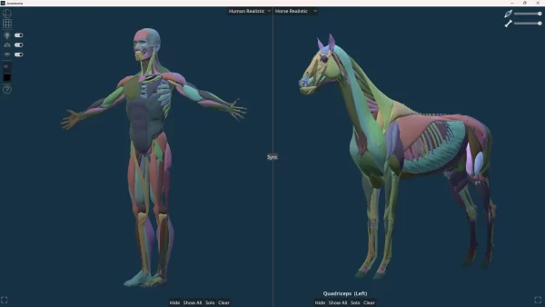 Anastomia：免费下载的动物与人类解剖对比参考工具