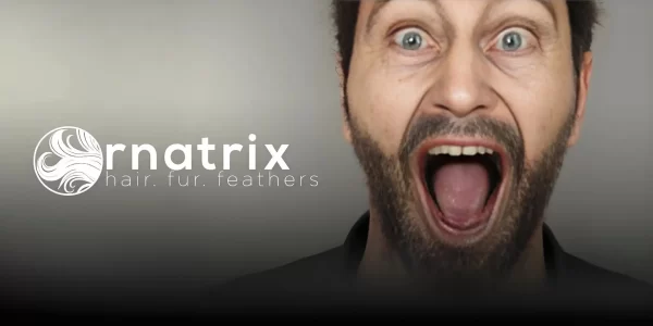 Ornatrix 免费了！全球学生可免费使用毛发插件