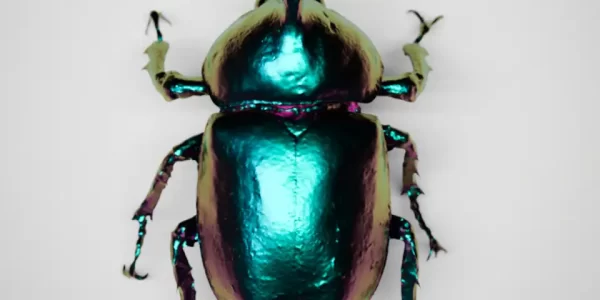 Arnold 7.4.4 发布：毛发光晕升级，渲染提速最高6倍！