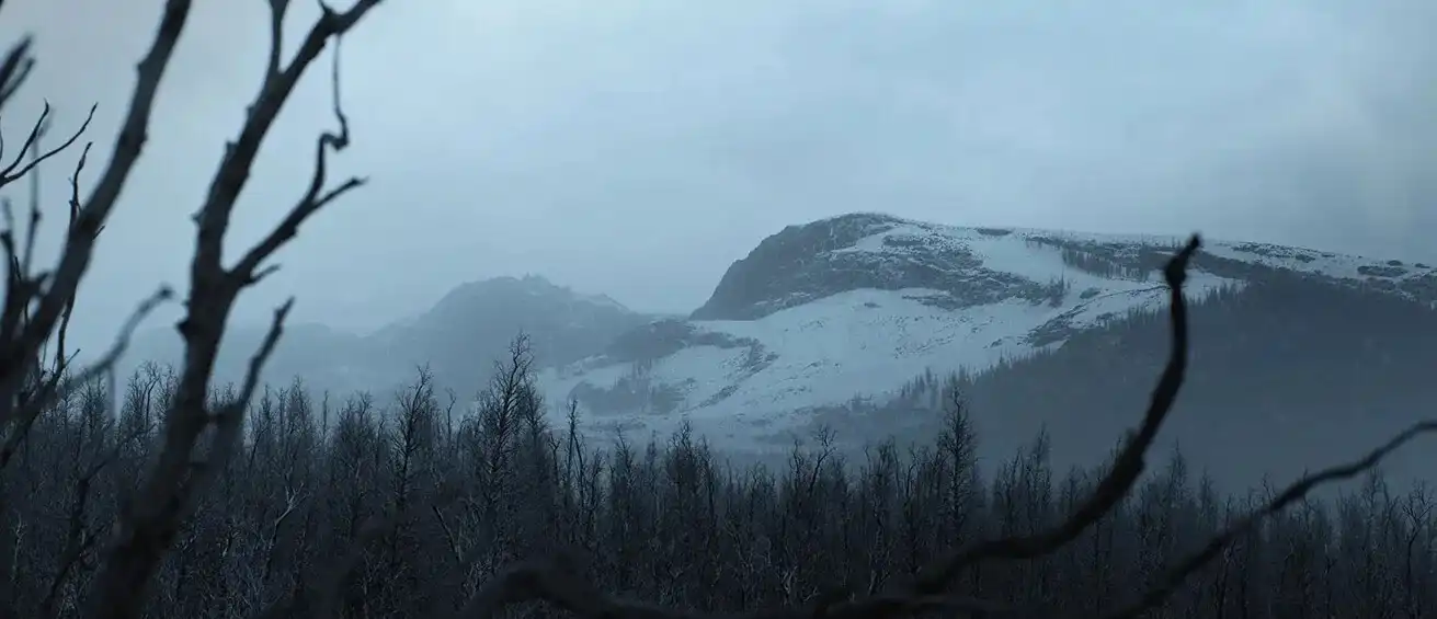 GPU实时地形生成软件World Creator