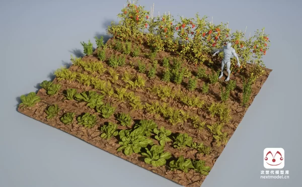 农业与田园场景景观低多边形植被