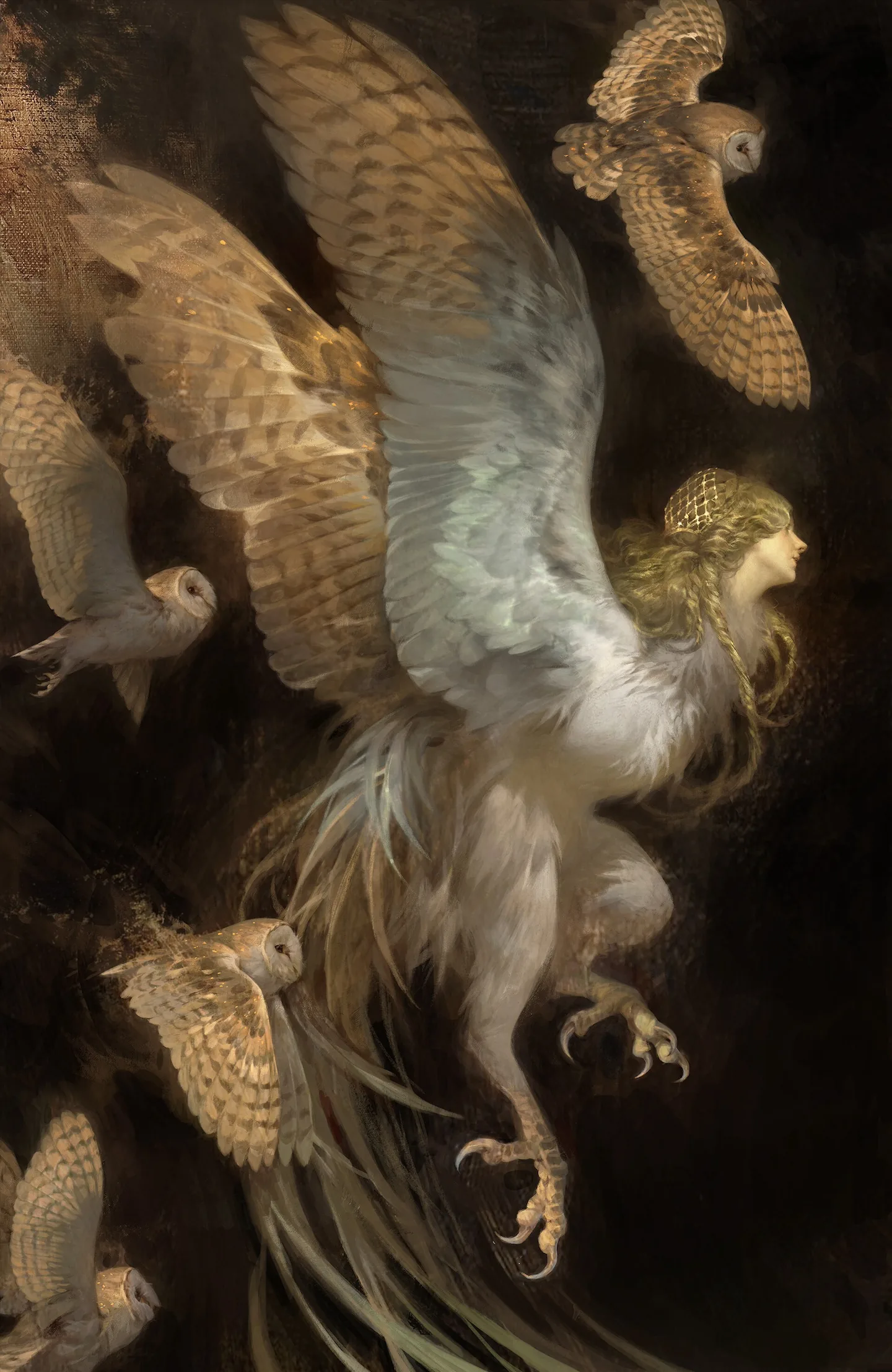 Owl Harpy 角色概念参考图 Owl Harpy 鸟身女妖角色概念参考插画