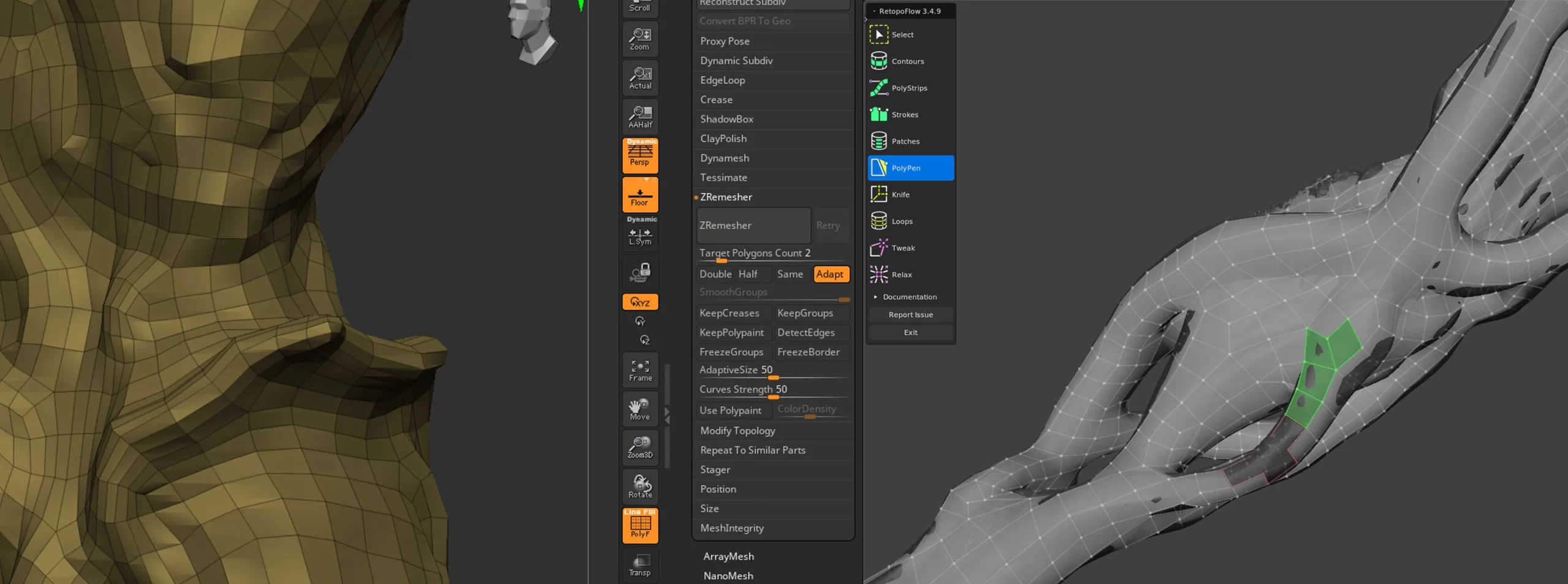 ZRemesher 与 RetopoFlow 拓扑流程 结合 ZBrush ZRemesher 与 Blender RetopoFlow 进行真菌生物拓扑重建的工作界面