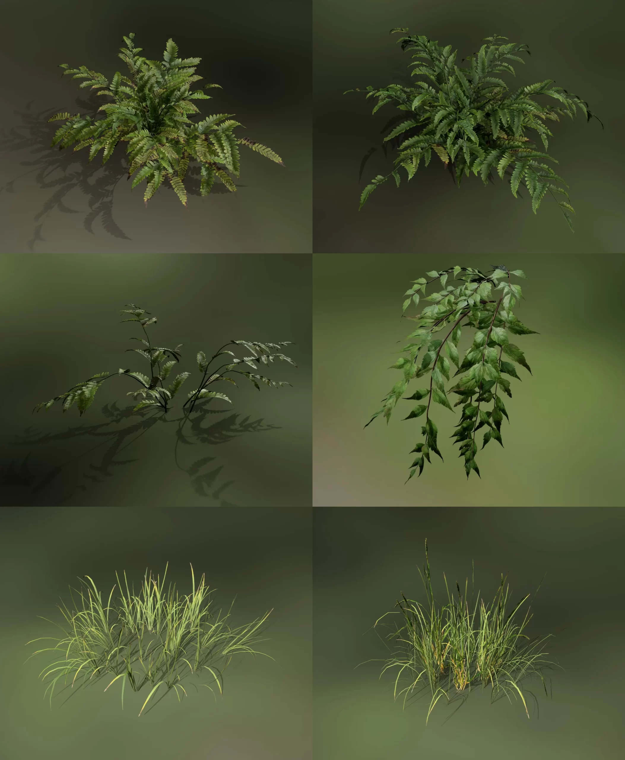 SpeedTree 制作灌木 SpeedTree 中制作草丛与小灌木