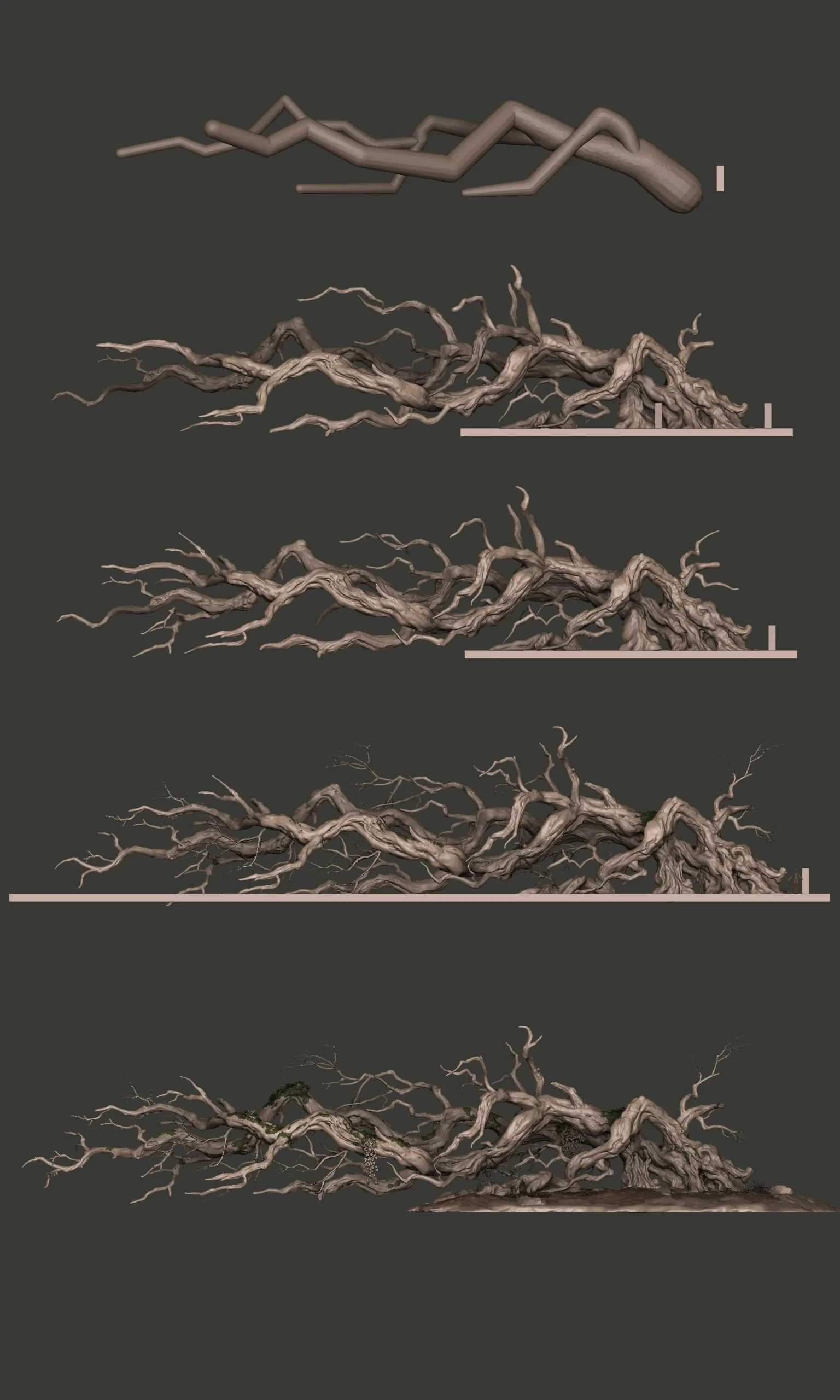 ZSpheres 体块搭建 ZBrush 中 ZSpheres 搭建树藤体块的步骤图