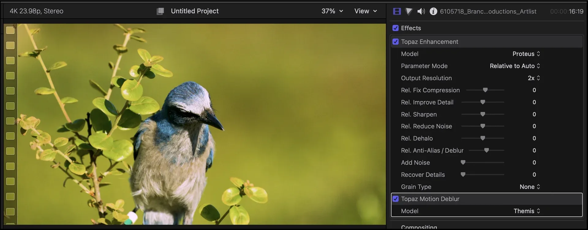 FCP 插件安装选项 Topaz Video 安装器中可选安装 Final Cut Pro Plugin 的界面